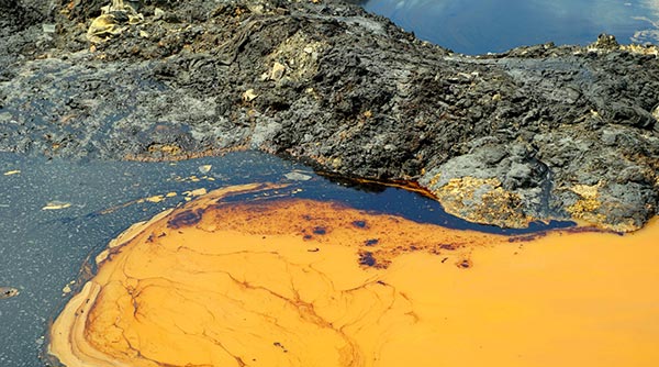 生活污泥污染 生活污泥污染